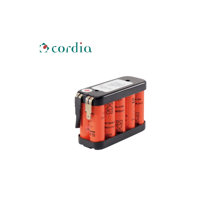 BATTERIE NICD - 12 V / 700 MAH - CÔTE / CÔTE SOUS FLASQUE