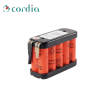 BATTERIE NICD - 12 V / 700 MAH - CÔTE / CÔTE SOUS FLASQUE