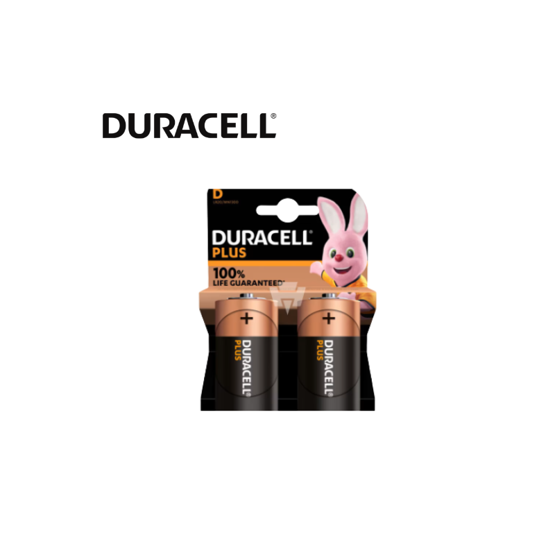 Pile alcaline blister x2 Duracell Plus LR20 - D 1.5V 18Ah.avenuedelasécurité