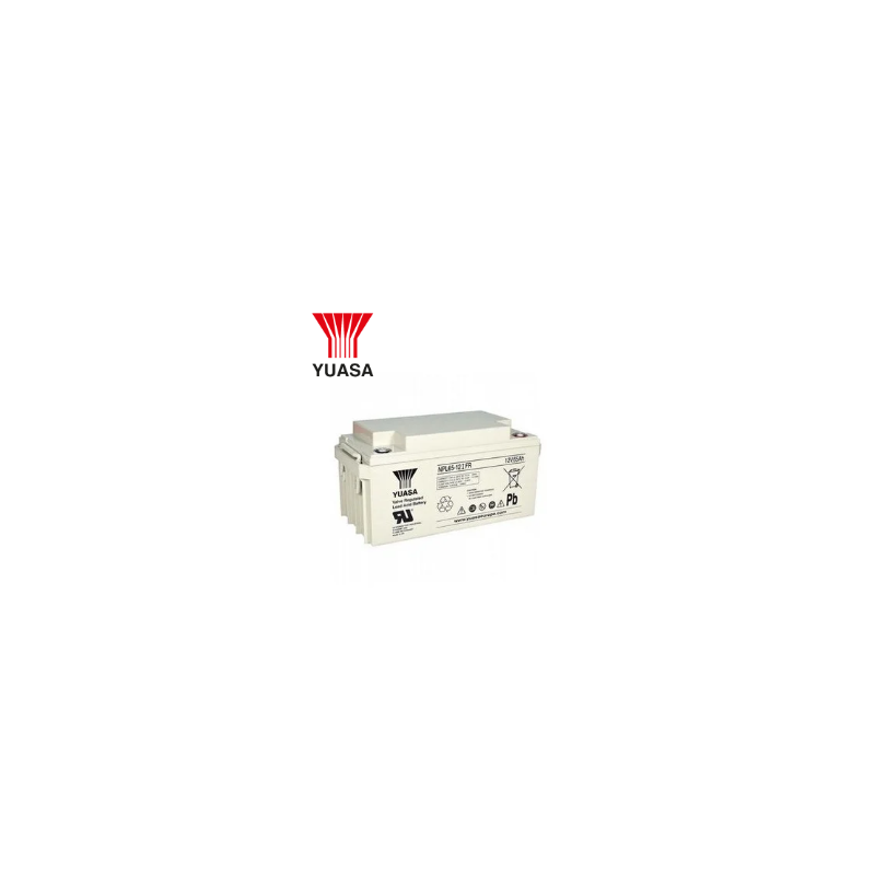 BATTERIE 12 VOLTS 65 AH BAC FR